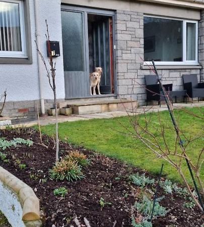 Bb@No17 Bed and Breakfast Aviemore Exterior foto