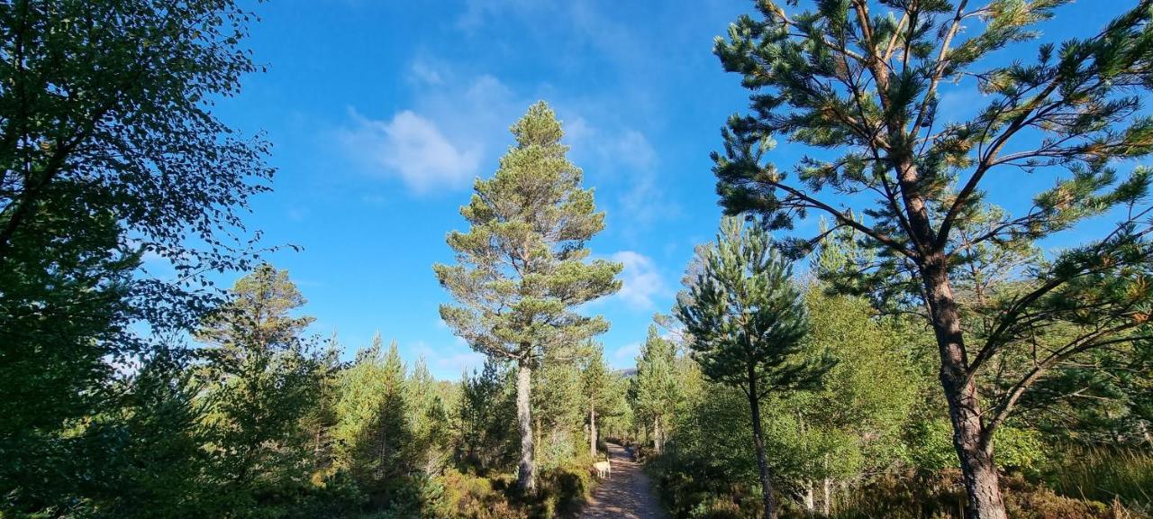 Bb@No17 Bed and Breakfast Aviemore Exterior foto