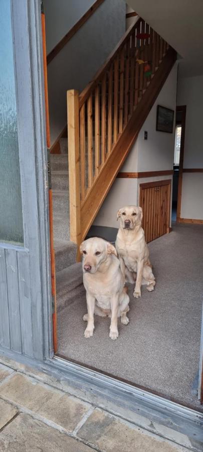 Bb@No17 Bed and Breakfast Aviemore Exterior foto